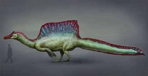 spinosaurus latest reconstruction.